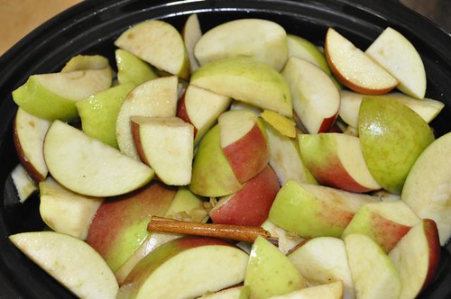 apple sauce in the slow cooker 9