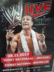 WWE Live 2013 - Forest National