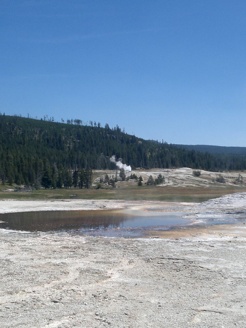 Martes Día 23 de Julio: Yellowstone (II) - 25 días por los parques nacionales del Oeste de USA: un Road Trip de 10500 kms (32)