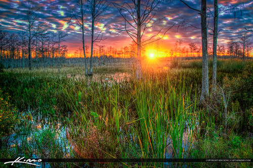 Sunset at Swamp Palm Beach Gardens Wetlands by Captain Kimo