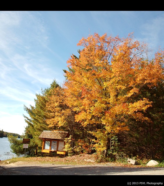 Fall colours at Wolf Lake