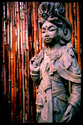 Bodhisattva Quan Yin, the female Buddha, statue, bamboo fence, A Garden for the Buddha, Seattle, Washington, USA by Wonderlane