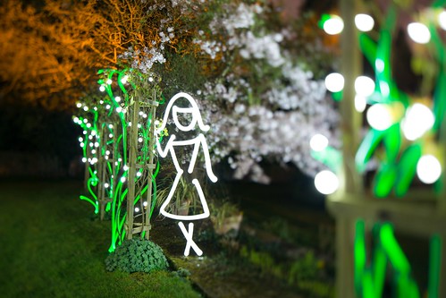 In The Light Garden (Girl In Rose Garden Lightpainting), Kent by flatworldsedge