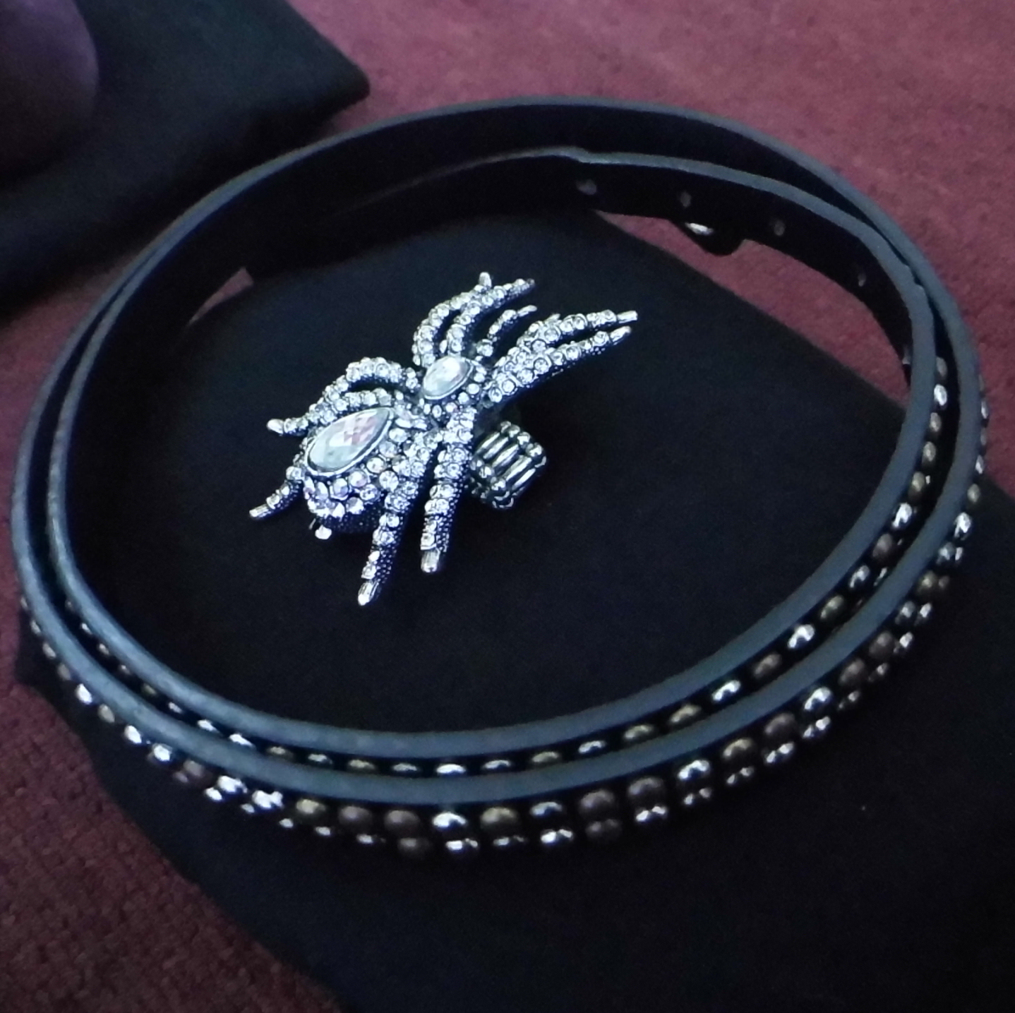 Studded Belt and Spider Ring