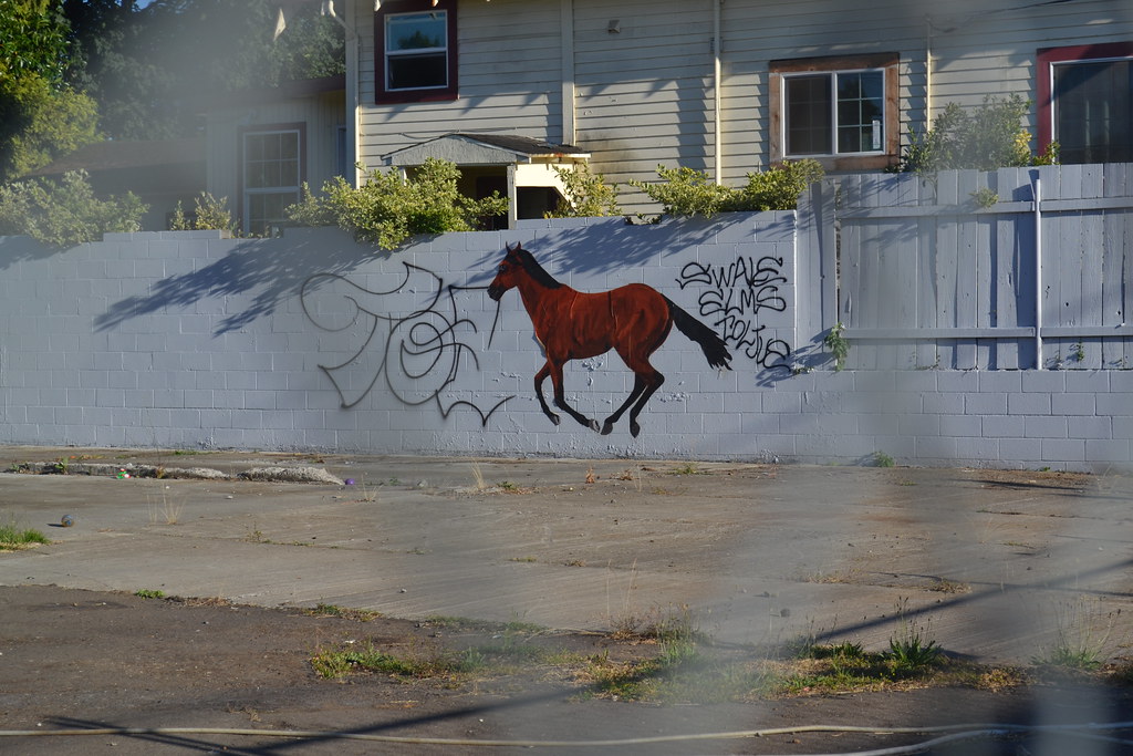 RAT KING, PORTLAND, Graffiti, Street Art, Hand Painted, Horse,