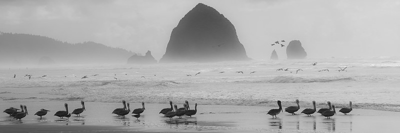 Cannon Beach Day 2 (2 of 6)