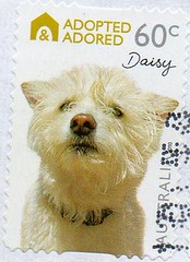 Postage Stamps - Australia Animals