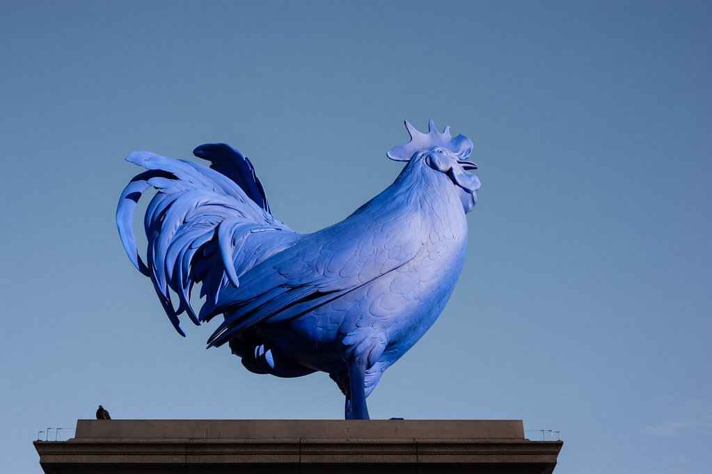 Two birds on the fourth plinth