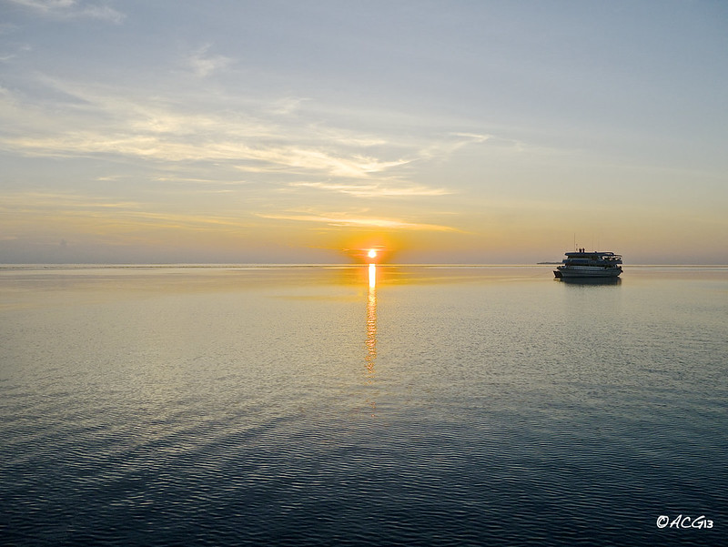 7 días de crucero buceando en  los mejores puntos del pais. 7 días inmejorables - ¡Maldivian Dream! (24)