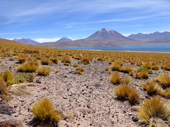 Altiplano - Chili