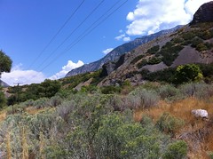 August 26, 2012 (Provo River Trail)