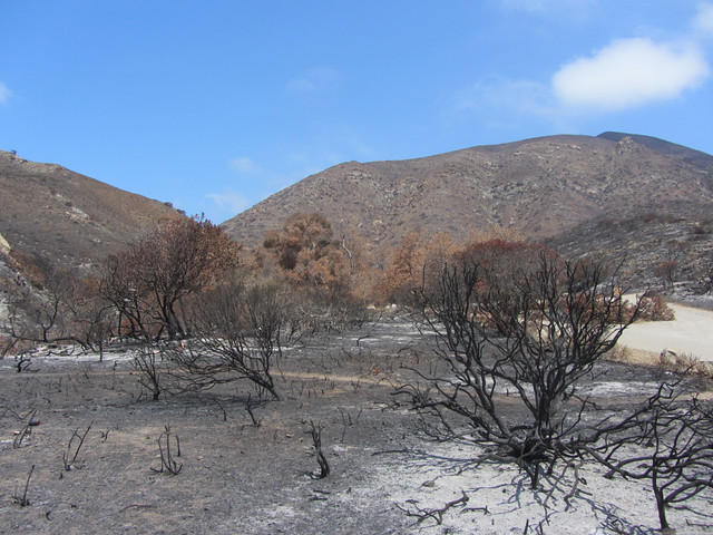 after the springs fire