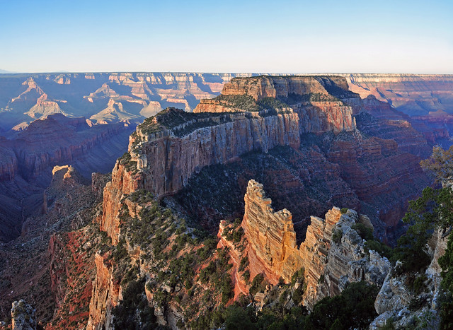 Grand Canyon National Park: North Rim: Muted Sunrise From Cape Royal 0163