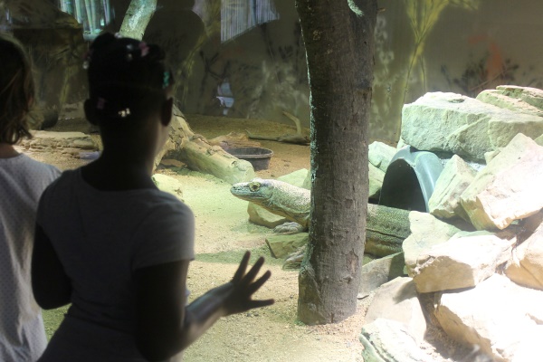 Atlanta Zoo '13, 9
