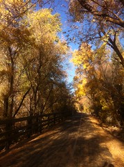 October 22, 2013 (Provo River Trail)