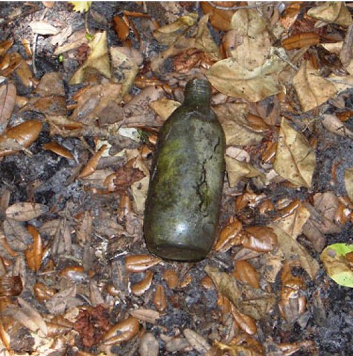 Bottle rooted to the surface by feral swine at a historic archeological site in Florida. Photo by USDA Wildlife Services.