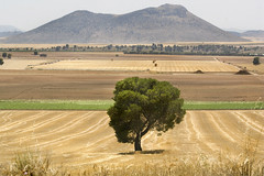 La Toscana (Andalusia)