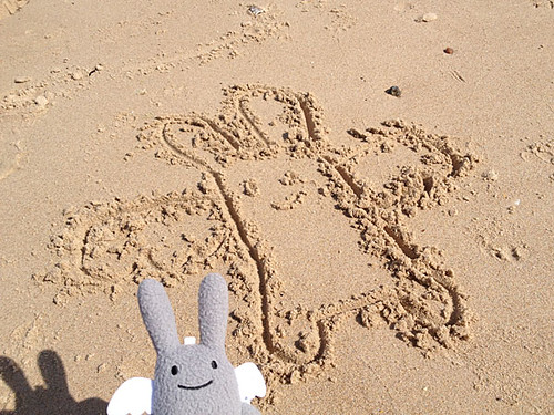 Angel Bunny in the sand