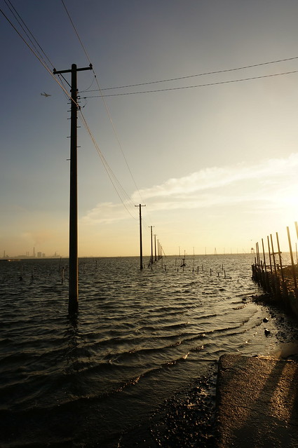 utility poles into the sea 01