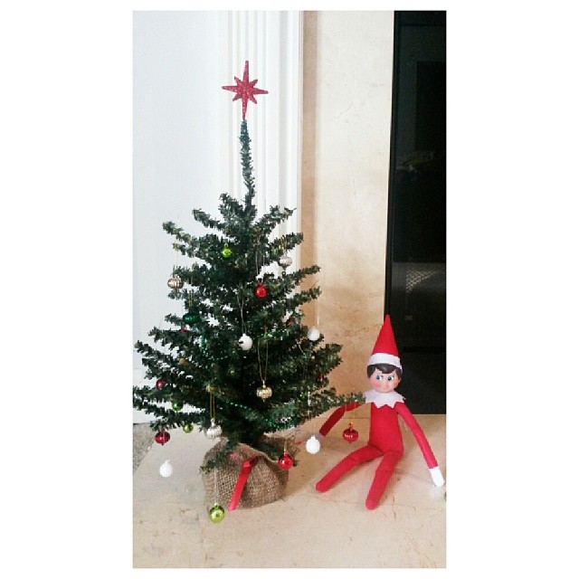 Snowflake added some *elf-sized* Christmas cheer to our home last night. #jbelfontheshelf #elfontheshelf