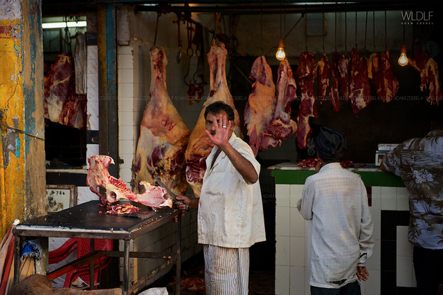 Meat center Mapusa