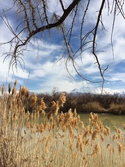 March 19, 2017 b (Jordan River Pkwy, Ut Lake)