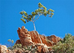  MacDonnell Ranges