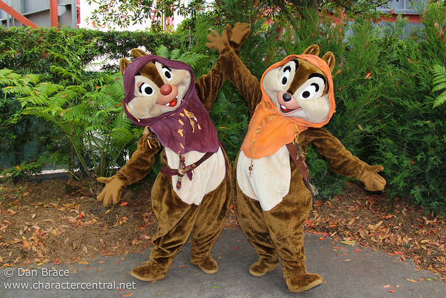 Meeting Ewok Chip and Dale!