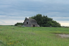 Barns Of Saskatchewan