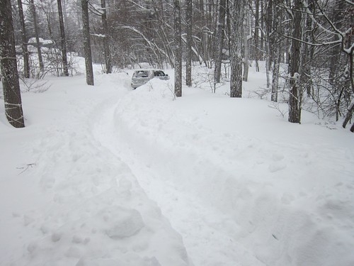 大雪のアプローチに作った通路　2014年2月15日09：23 by Poran111