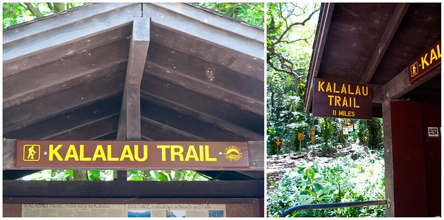 kauai trail 12