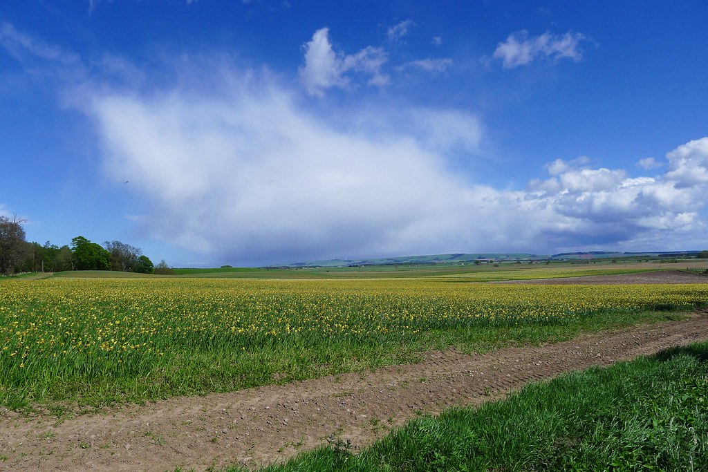 Showers over the Mearns