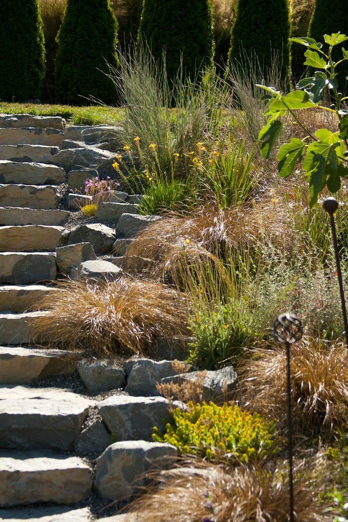 bob hyland stone steps