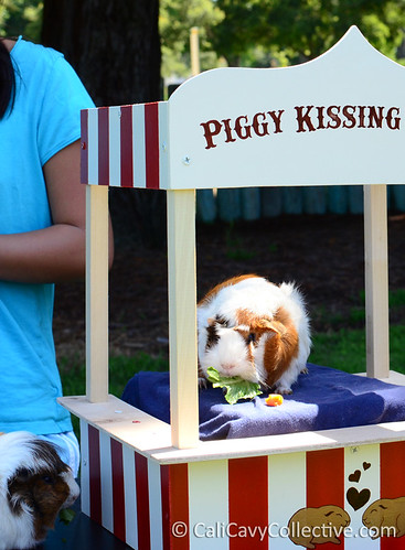 Piggy kissing booth