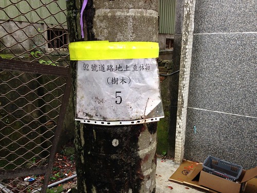 老樹移植標記。