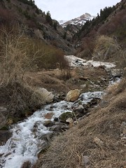 April 8, 2017 a (Provo Canyon)