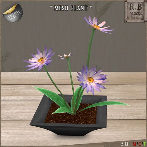 NEW MESH ! CHEAPIE ! *RnB* Mesh Potted Flowers - Dahlia (no mod)