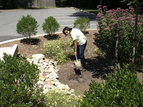 Image of a Department of Environmental Protection staff member performing maintenance on a stormwater facility.