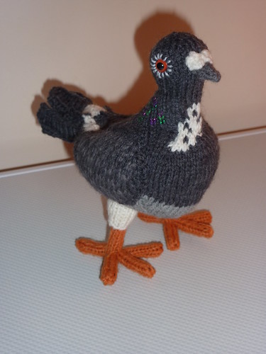 Lovely hand knitted pigeon