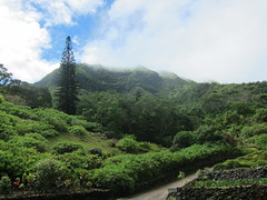 2013 Hawaii