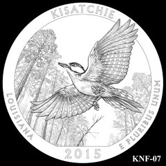 Kisatchie-National-Forest-Silver-Coin-Design-Candidate-KNF-07-300x300