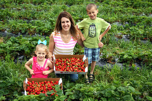 2013-Me-and-Kids-Strawberry-Picture