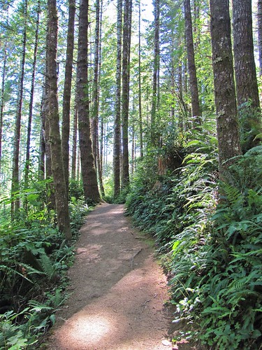 Oregon trail