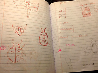 bug drawings