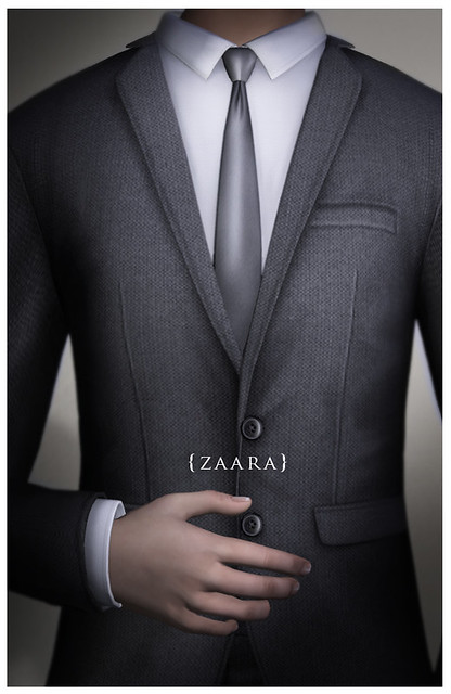 Zaara : Classic suit details