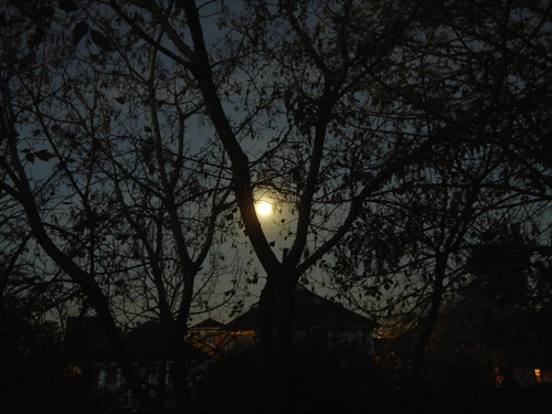 DSCN7349 - A Morning Full Moon