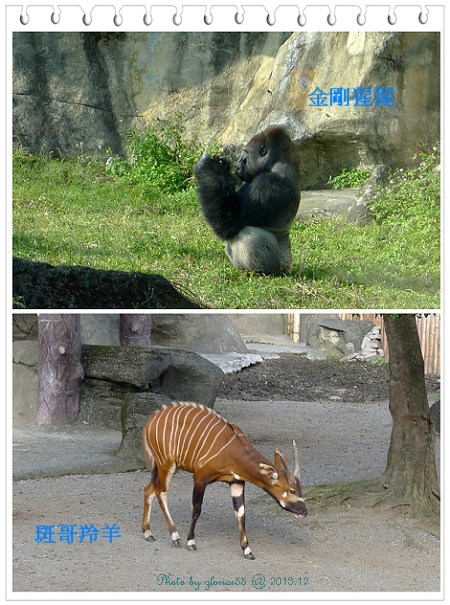 201312動物園-h