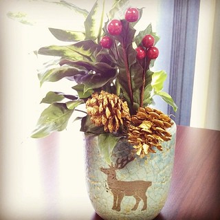 Day 16 #yarnpadc Holly. The boss bought these for our offices. #reindeer #planter