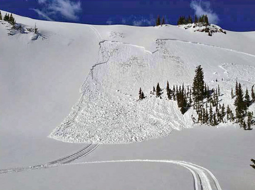A slab avalanche triggered by a snowmobile. (Friends of Bridget-Teton Avalanche Center)