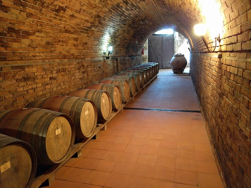 wine barrels @ Castello di Monterinaldi